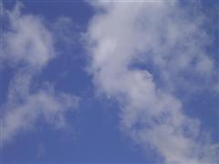 PICT1824.JPG